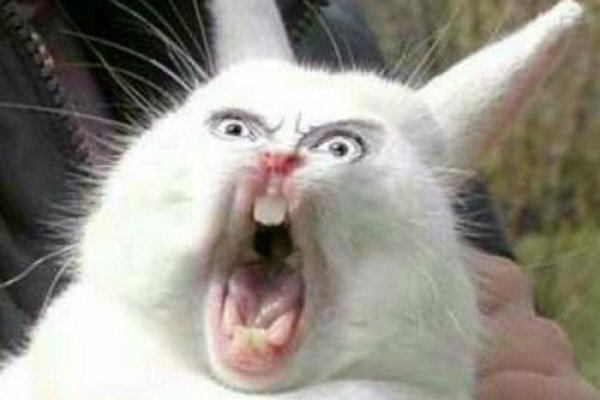 Кракен даркнет официальный сайт