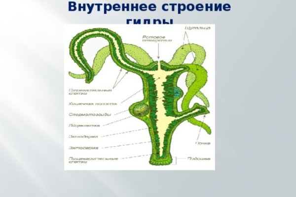 Даркнет кракен